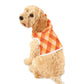 Pumpkin Plaid Dog Hoodie