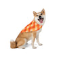 Pumpkin Plaid Bandana